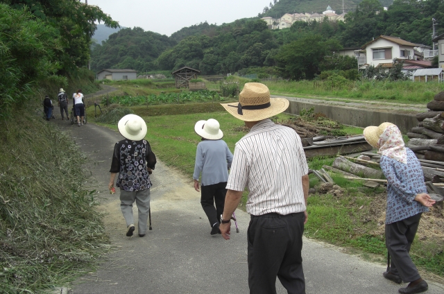 lalanurse article image