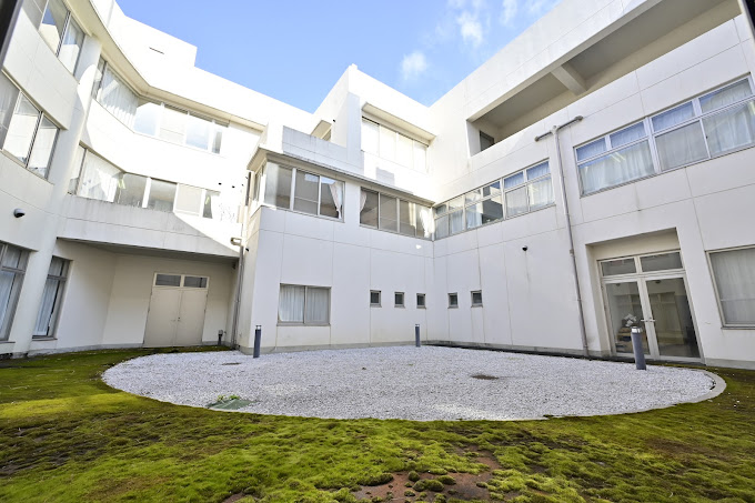 lalanurse article image