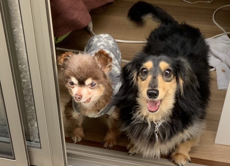 lalanurse article image