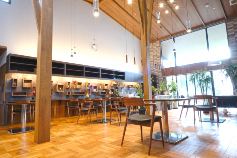 lalanurse article image